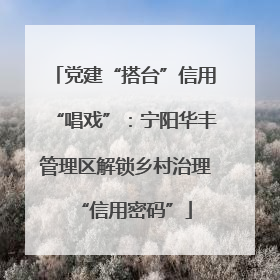 党建“搭台”信用“唱戏”：宁阳华丰管理区解锁乡村治理“信用密码”
