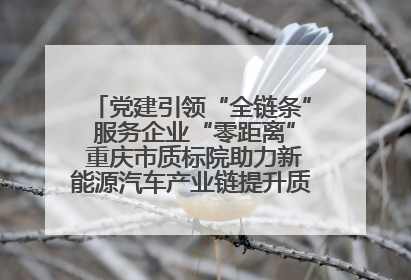 党建引领“全链条” 服务企业“零距离” 重庆市质标院助力新能源汽车产业链提升质量管理水平