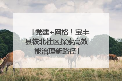 党建+网格！宝丰县铁北社区探索高效能治理新路径
