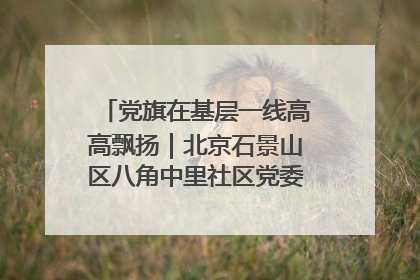 党旗在基层一线高高飘扬｜北京石景山区八角中里社区党委：用脚步丈量民生