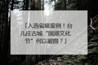 入选省级案例！台儿庄古城“国潮文化节”何以破圈？