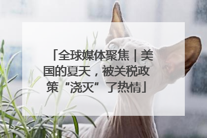 全球媒体聚焦｜美国的夏天，被关税政策“浇灭”了热情