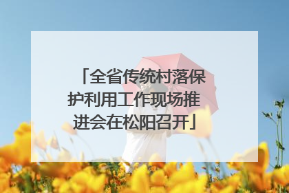 全省传统村落保护利用工作现场推进会在松阳召开