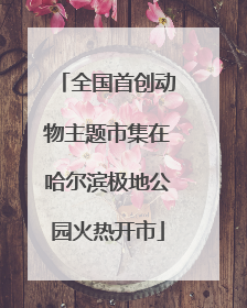 全国首创动物主题市集在哈尔滨极地公园火热开市