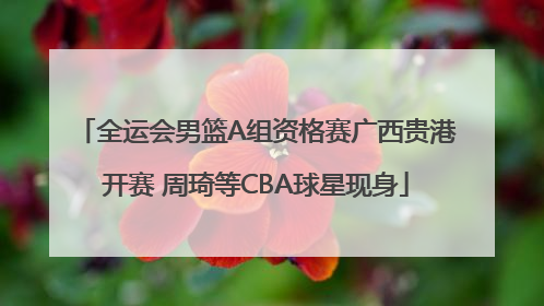 全运会男篮A组资格赛广西贵港开赛 周琦等CBA球星现身
