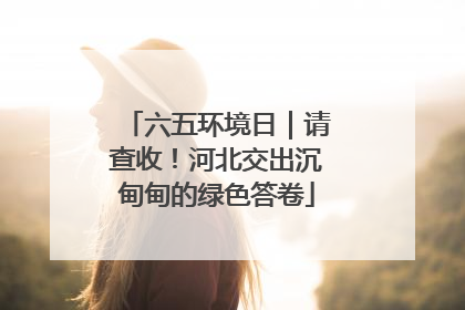 六五环境日｜请查收！河北交出沉甸甸的绿色答卷
