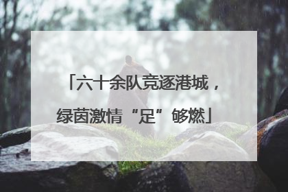 六十余队竞逐港城，绿茵激情“足”够燃