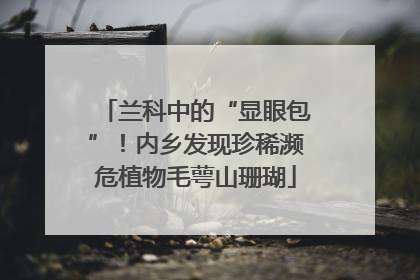 兰科中的“显眼包”！内乡发现珍稀濒危植物毛萼山珊瑚