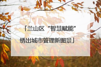 兰山区“智慧赋能”绣出城市管理新图景