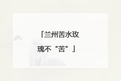 兰州苦水玫瑰不“苦”