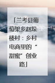 兰考县葡萄架乡赵垛楼村：乡村电商里的“甜蜜”创业路
