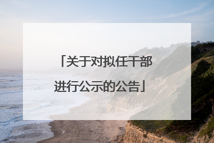 关于对拟任干部进行公示的公告