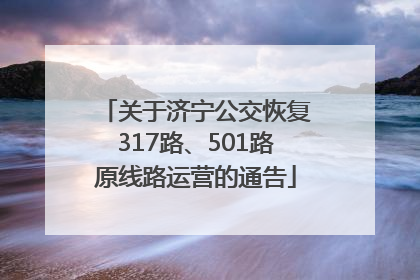 关于济宁公交恢复317路、501路原线路运营的通告