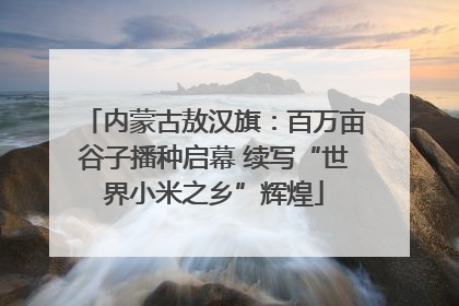 内蒙古敖汉旗：百万亩谷子播种启幕 续写“世界小米之乡”辉煌
