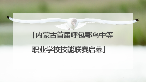 内蒙古首届呼包鄂乌中等职业学校技能联赛启幕