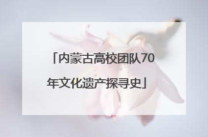 内蒙古高校团队70年文化遗产探寻史