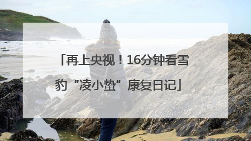 再上央视！16分钟看雪豹“凌小蛰”康复日记