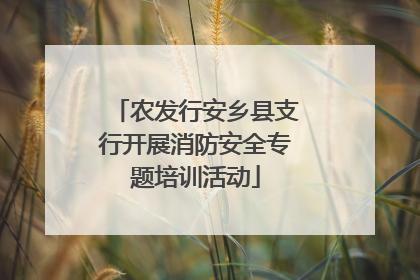 农发行安乡县支行开展消防安全专题培训活动