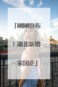 刚刚宣布！湖北新增一家国企