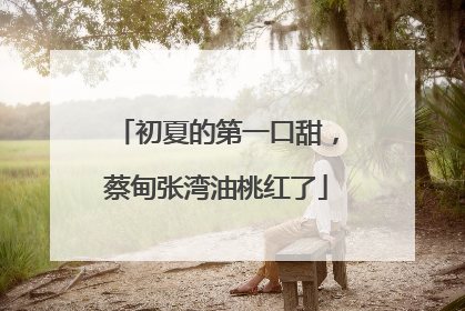 初夏的第一口甜，蔡甸张湾油桃红了