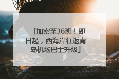 加密至36班！即日起，西海岸往返青岛机场巴士升级