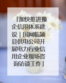 加快推进豫企信用体系建设｜国网临颍县供电公司开展电力行业信用企业现场咨询访谈工作
