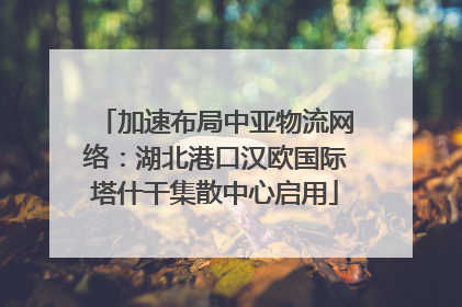 加速布局中亚物流网络：湖北港口汉欧国际塔什干集散中心启用