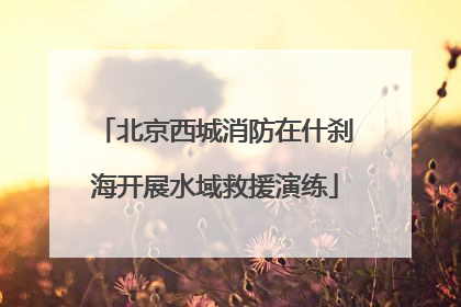 北京西城消防在什刹海开展水域救援演练