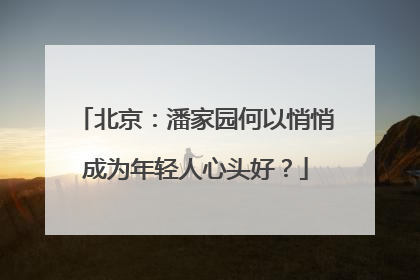 北京：潘家园何以悄悄成为年轻人心头好？