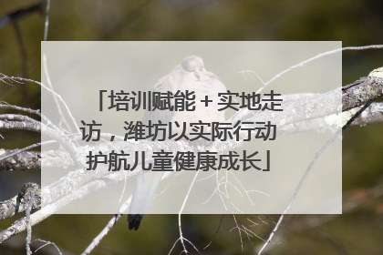 培训赋能＋实地走访，潍坊以实际行动护航儿童健康成长