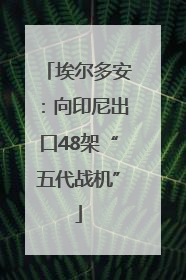 埃尔多安：向印尼出口48架“五代战机”
