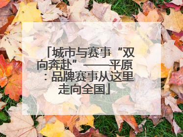 城市与赛事“双向奔赴”——平原：品牌赛事从这里走向全国