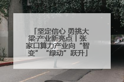 坚定信心 勇挑大梁·产业新亮点丨张家口算力产业向“智变”“绿动”跃升