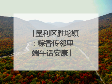 垦利区胜坨镇：粽香传邻里 端午话安康
