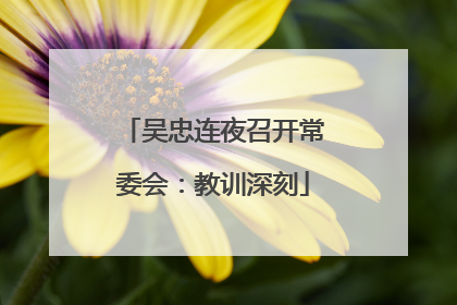 吴忠连夜召开常委会：教训深刻