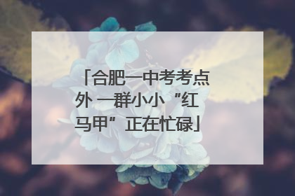 合肥一中考考点外 一群小小“红马甲”正在忙碌