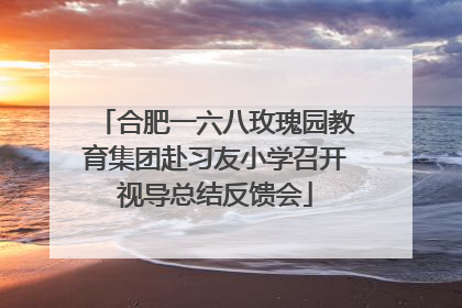 合肥一六八玫瑰园教育集团赴习友小学召开视导总结反馈会