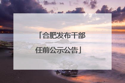 合肥发布干部任前公示公告