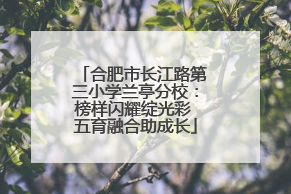 合肥市长江路第三小学兰亭分校：榜样闪耀绽光彩 五育融合助成长