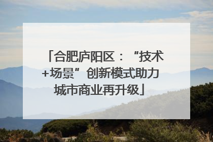 合肥庐阳区：“技术+场景”创新模式助力城市商业再升级