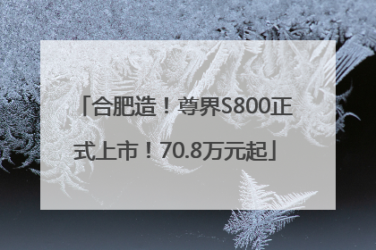 合肥造！尊界S800正式上市！70.8万元起