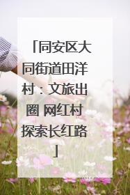 同安区大同街道田洋村：文旅出圈 网红村探索长红路