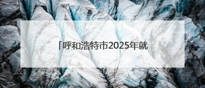 呼和浩特市2025年就业创业服务进校园暨第8场高校巡回招聘会举办