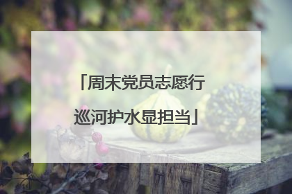 周末党员志愿行 巡河护水显担当