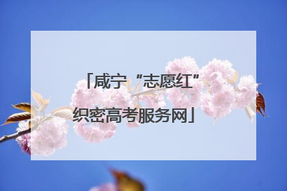 咸宁“志愿红”织密高考服务网