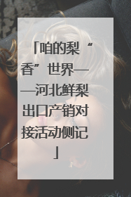 咱的梨“香”世界——河北鲜梨出口产销对接活动侧记