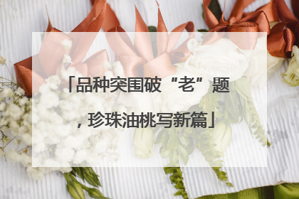 品种突围破“老”题，珍珠油桃写新篇