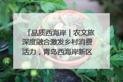 品质西海岸｜农文旅深度融合激发乡村消费活力，青岛西海岸新区的乡村振兴实践