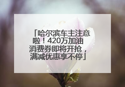 哈尔滨车主注意啦！420万加油消费券即将开抢，满减优惠享不停