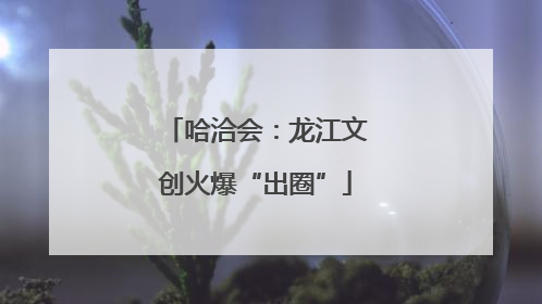 哈洽会：龙江文创火爆“出圈”